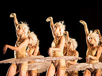 Труппа Gauthier Dance Company представляет четыре одноактных балета 
четырех ведущих мировых хореографов