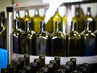 Минздрав против отмены особого стандарта на оливковое масло "из-за риска  его подделки арабами"