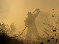 Лесной пожар в районе Иерусалима, задействованы самолеты пожарной авиации