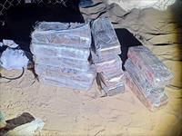 На границе с Египтом перехвачена партия наркотиков на 3,5 млн шекелей