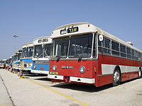 Автобусный музей "Эгед" приглашает на Суккот