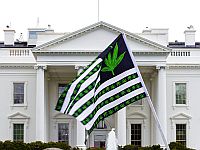 Президент США подписал указы, направленные на помилование осужденных за хранение марихуаны