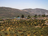 Поселенцами ранена израильтянка, помогавшая палестинским фермерам собирать оливки