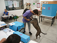 К 14:00 на выборах в Кнессет проголосовали 38,9% избирателей