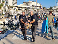 Черепаха, спасенная сотрудниками береговой полиции, вернулась в Средиземное море