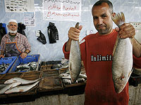 Перехвачены 8,5 тонн рыбы и морепродуктов из Газы для  ресторанов Хайфы