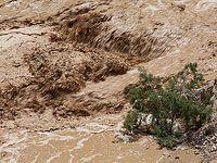 Метеослужба: запрещено спускаться в русла рек в Иудейской пустыне и Негеве