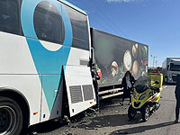 В Самарии столкнулись автобус и грузовик, пострадали пять человек