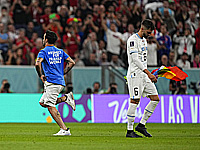 Матч Португалия - Уругвай был прерван. На поле выбежал фанат с радужным флагом