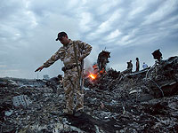 На месте падения самолета MH17. 17 июля 2014 года