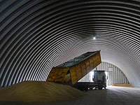 Расследование: Треть импортируемого Сирией зерна украдена в Украине