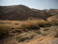Из-за возможных наводнений закрыты маршруты в руслах ручьев в Иудейской пустыне