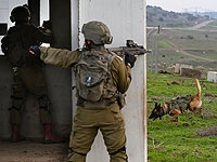 ЦАХАЛ: на севере Израиля курсант выстрелил в агрессивную собаку