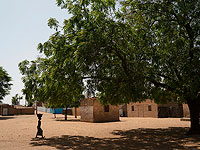 В Сенегале объявлен национальный траур после ДТП с десятками погибших