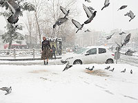Тегеран в снегу. Фоторепортаж из иранской столицы