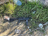 ЦАХАЛ: около Хальхуля застрелен террорист, причастный к нескольким обстрелам
