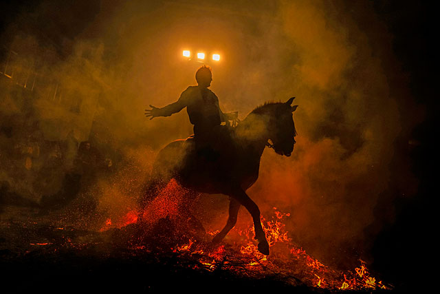 Очищение огнем: день заступника животных в Испании. Фоторепортаж