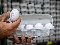 В феврале яйца подорожают почти на 16%