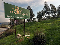 "Зеленые без границ" на юге Ливана: подозрение на действия в интересах "Хизбаллы" под видом защиты лесов