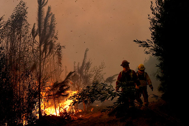 Последствия лесных пожаров в Чили. Фоторепортаж