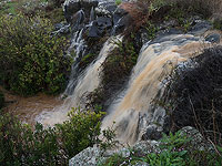 Минздрав сообщил о загрязнении воды в районе горы Мерон, возможно, из-за землетрясения