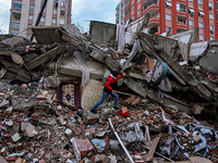 Жертвами землетрясений в Турции и Сирии стали около 22500 человек
