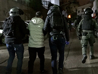 Полиция: с помощью тайного агента в арабском секторе задержаны десятки торговцев оружием