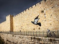 ШАБАК: предотвращен теракт в Иерусалиме