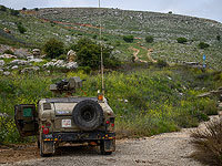 Около северной границы Израиля сработал "Железный купол". ЦАХАЛ: "Ложная тревога"