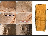 На Аравийском полуострове найдены 8000-летние чертежи 