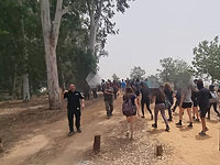 Пожар в Петах-Тикве, из леса проводится эвакуация отдыхающих и школьников