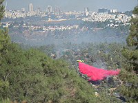 Задержан серийный поджигатель леса возле Бейт-Шемеша