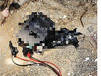 В Рамле разминированы взрывные устройства, никто не пострадал