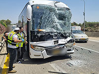 На 34-й трассе столкнулись грузовик и автобус со школьниками, множество пострадавших