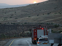 За день в Израиле вспыхнуло около 160 пожаров