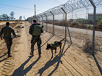 На северном участке границы с Газой задержаны двое нарушителей