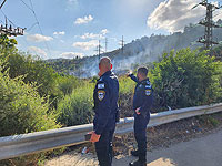 Пожар в районе Мевасерет-Циона взят под контроль