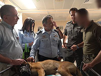 В ходе операции в Дженине получил ранение служебный пес Диего, он в больнице вместе с бойцами