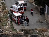 Власти ПА сообщают о семи убитых израильскими военными за сутки