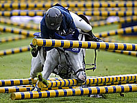 Трагедия на соревнованиях в США. 15-летняя наездница погибла после падения лошади