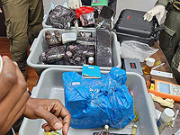Трое сотрудников миссии ООН задержаны за контрабанду кокаина