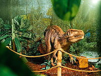 Путешествие в эпоху динозавров с новой выставкой в Toto Holon