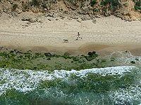 Минздрав рекомендует не купаться на пляже Акадия в Герцлии