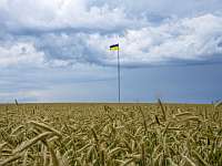 ООН и Турция отказались гарантировать безопасность вывоза зерна из Украины