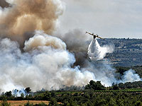 В Греции разбился пожарный самолет