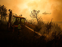В странах Средиземноморья жертвами лесных пожаров стали более 40 человек
