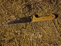 ЦАХАЛ разыскивает предполагаемого террориста, нож которого найден возле перекрестка Нили