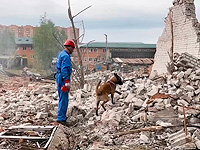 Поисковые работы после взрыва в Сергиевом Посаде завершены: одна погибшая, восемь пропавших без вести, более 80 пострадавших