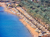 Пляжи Дааба на Синае закрыты после обнаружения акулы