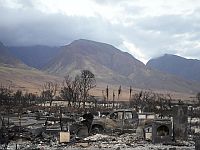 Число жертв лесных пожаров на Гавайях возросло до 110 человек